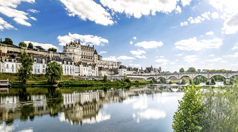 Castelli della Loira e Chartres Tour  Guidati