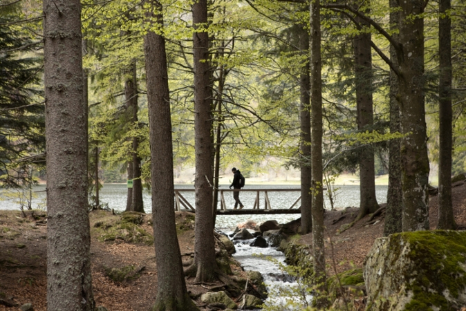 Svizzera, Alsazia e Foresta Nera Tour  Guidati