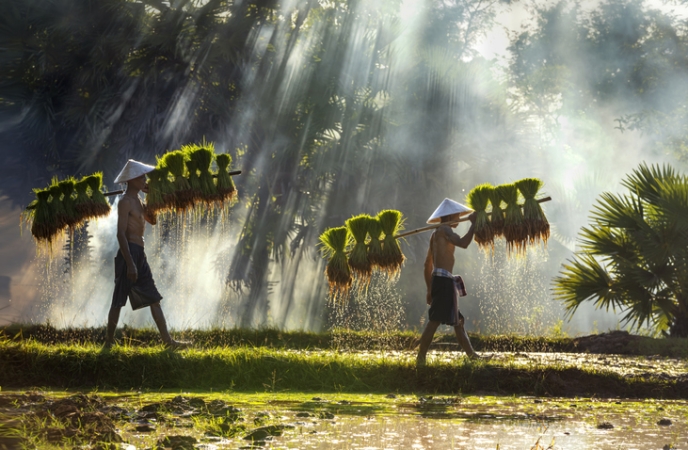 Vietnam e Cambogia Tour  Guidati