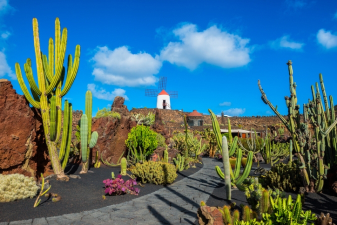 Lanzarote e Gran Canaria Tour  Guidati