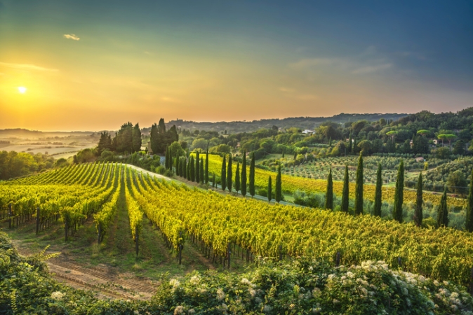 Chianti e Val d'Orcia Tour  Guidati