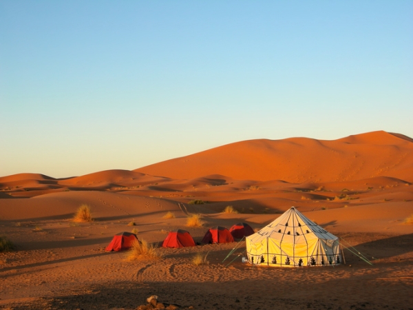 Marocco: Grande Sud e Kasbah Tour  Guidati