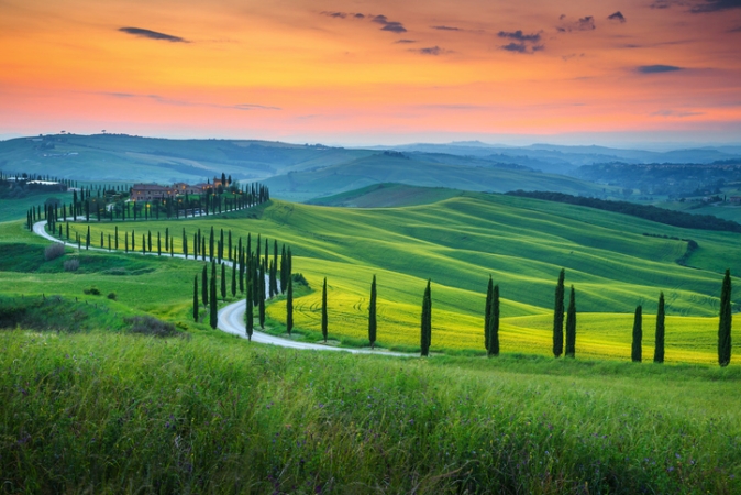 Capodanno nel Chianti Tour  Guidati